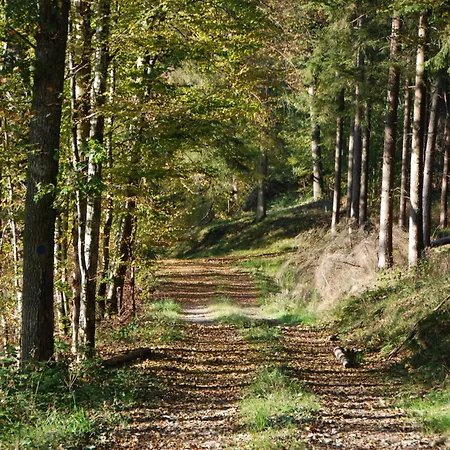 Les Trois Voisins B&B