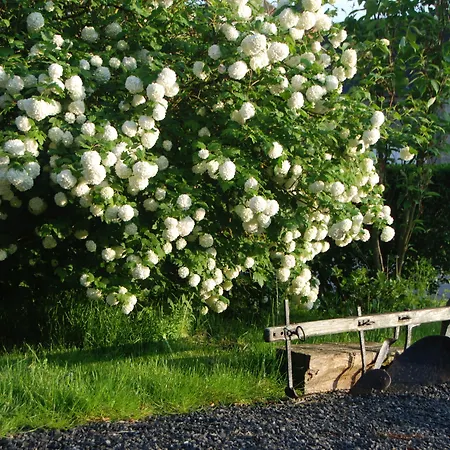 Les Trois Voisins B&B