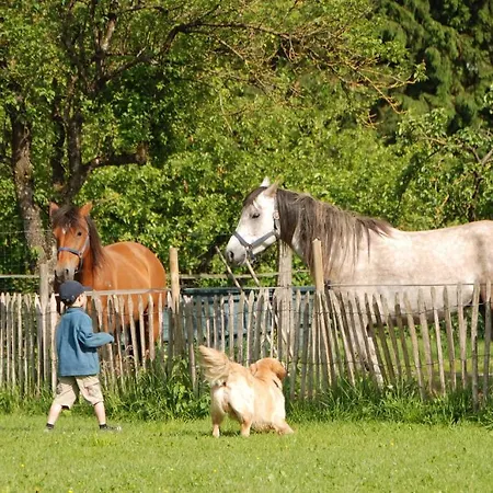 B&B Les Trois Voisins Bourseigne-Vieille