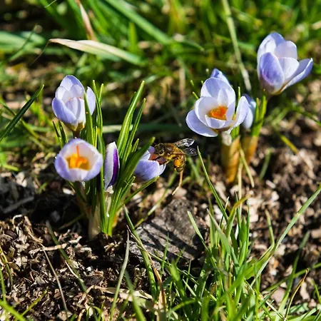 Les Trois Voisins Bourseigne-Vieille